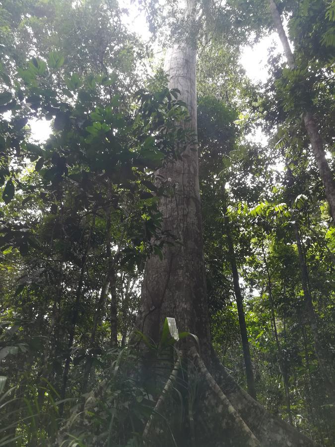 Uni Rao Centro Ecologico Villa Pucallpa Eksteriør billede